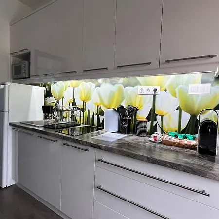 Smeraldo Penthouse Apartment Zamárdi